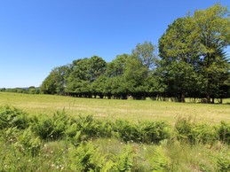 Prairies et vue autour du gîte