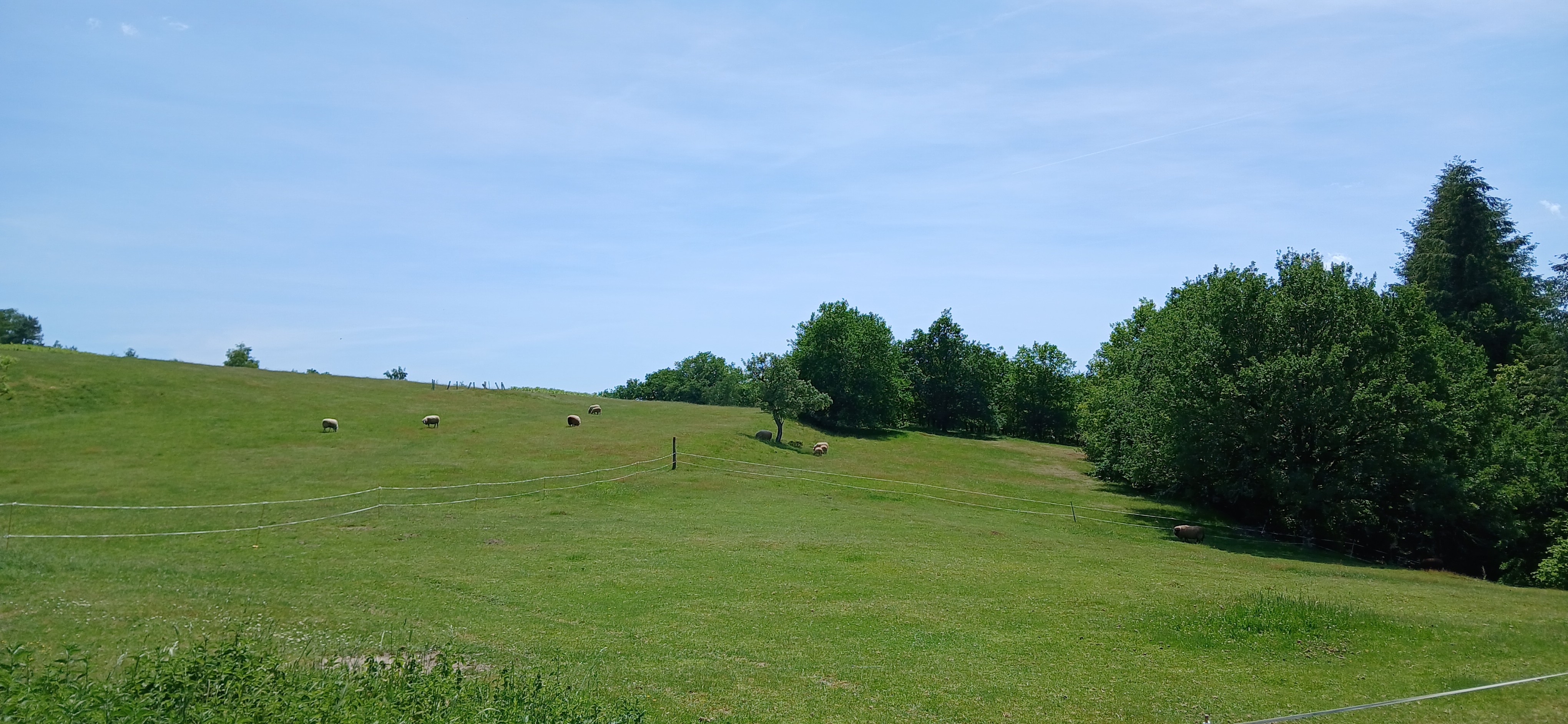 "Chez Julie" holiday cottage in Hautefage, Corrèze: The surrounding grounds