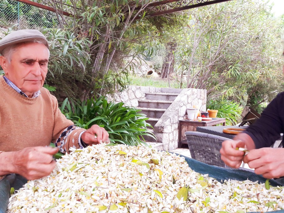 VENEZ DECOUVRIR UNE FAMILLE PASSIONNEE