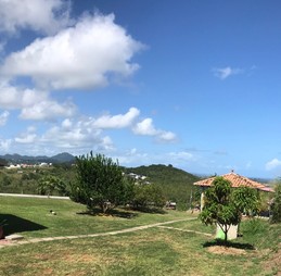 Les arbres fruitiers