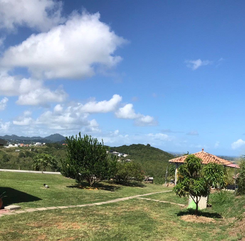 Les arbres fruitiers