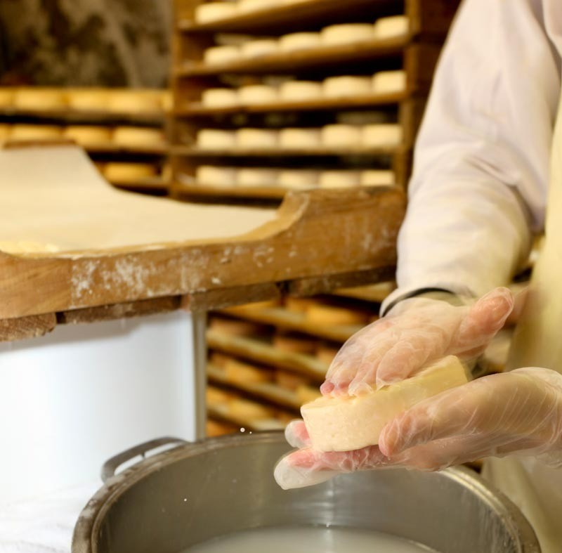 Photo n° 19 de la location