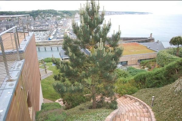 Photo n° 11 de la location