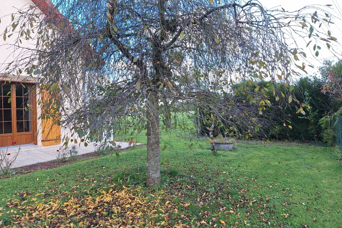 Photo n° 14 of the location