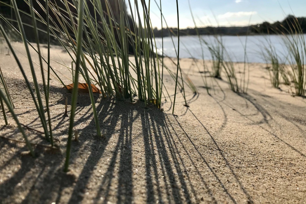 Photo n° 14 of the location
