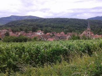 Boersch, village médiévale dans les vignes