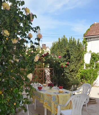 La terrasse fleurie du gîte Coquelicots