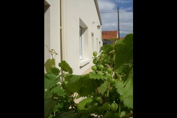 Photo n° 16 de la location