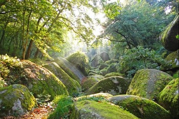 Forêt d'Huelgoat