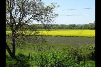 Vue campagne  - Albi - Tarn
