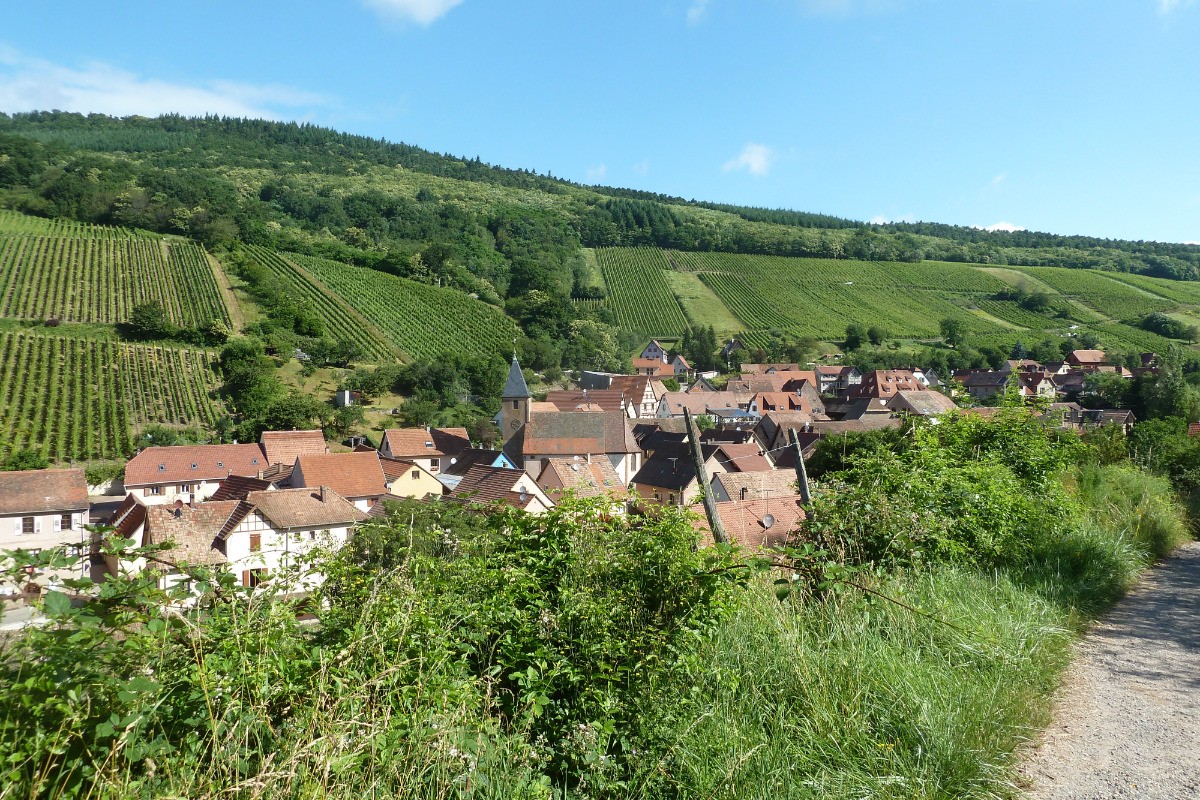 Bernardvillé