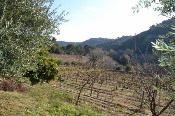 Photo n° 9 de la location