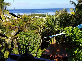 Bungalow Bois avec jacuzzi privatif - Poz Lagon chambre d'hôtes la Saline les bains