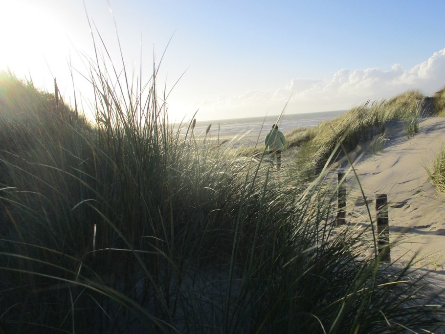 Rando sentier de l'anse menant à la plage