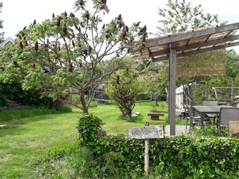 terrasse ombragée