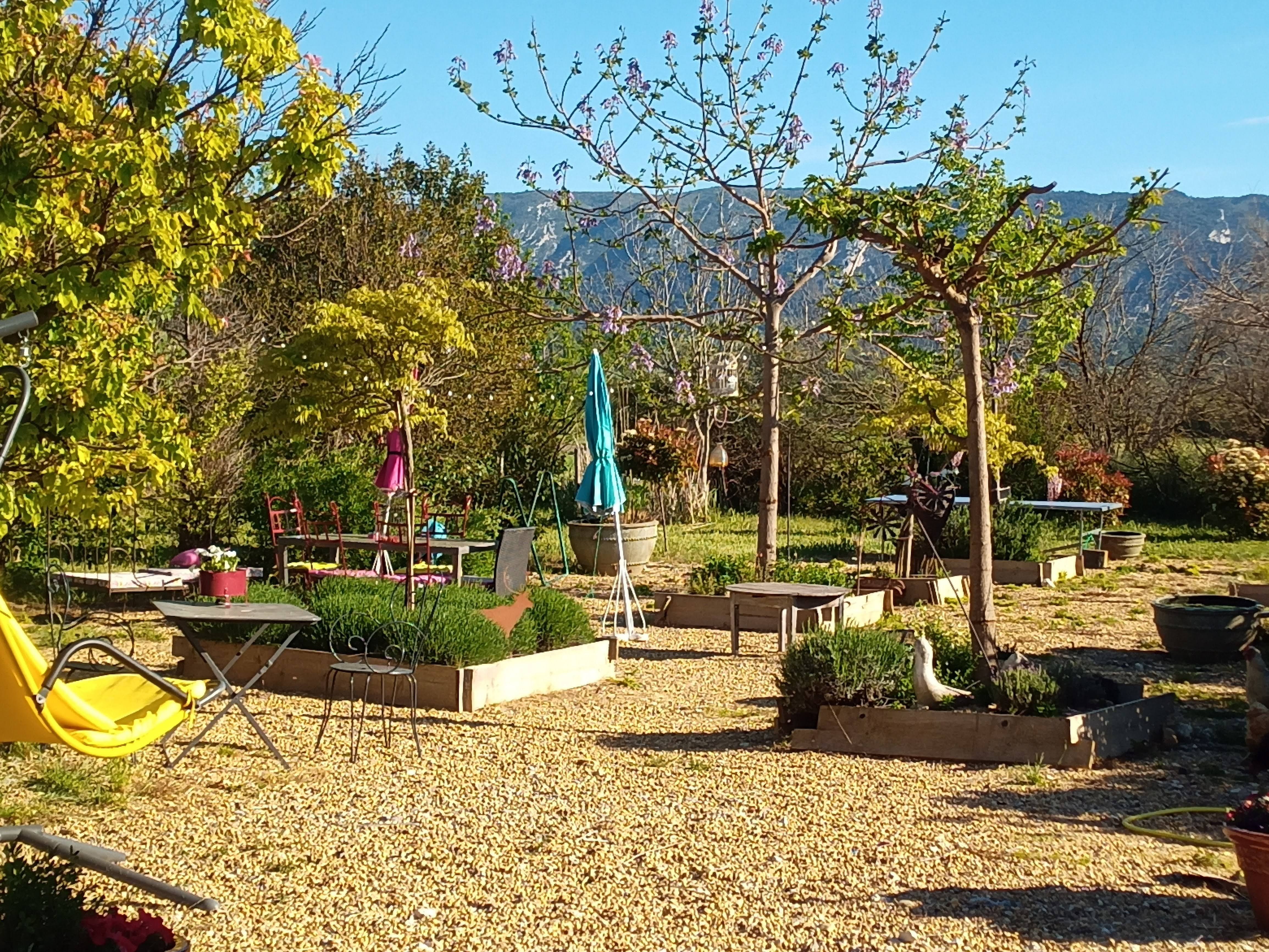 coin ombragé à la sortie de l'hiver