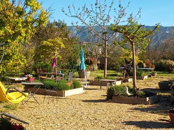 coin ombragé à la sortie de l'hiver