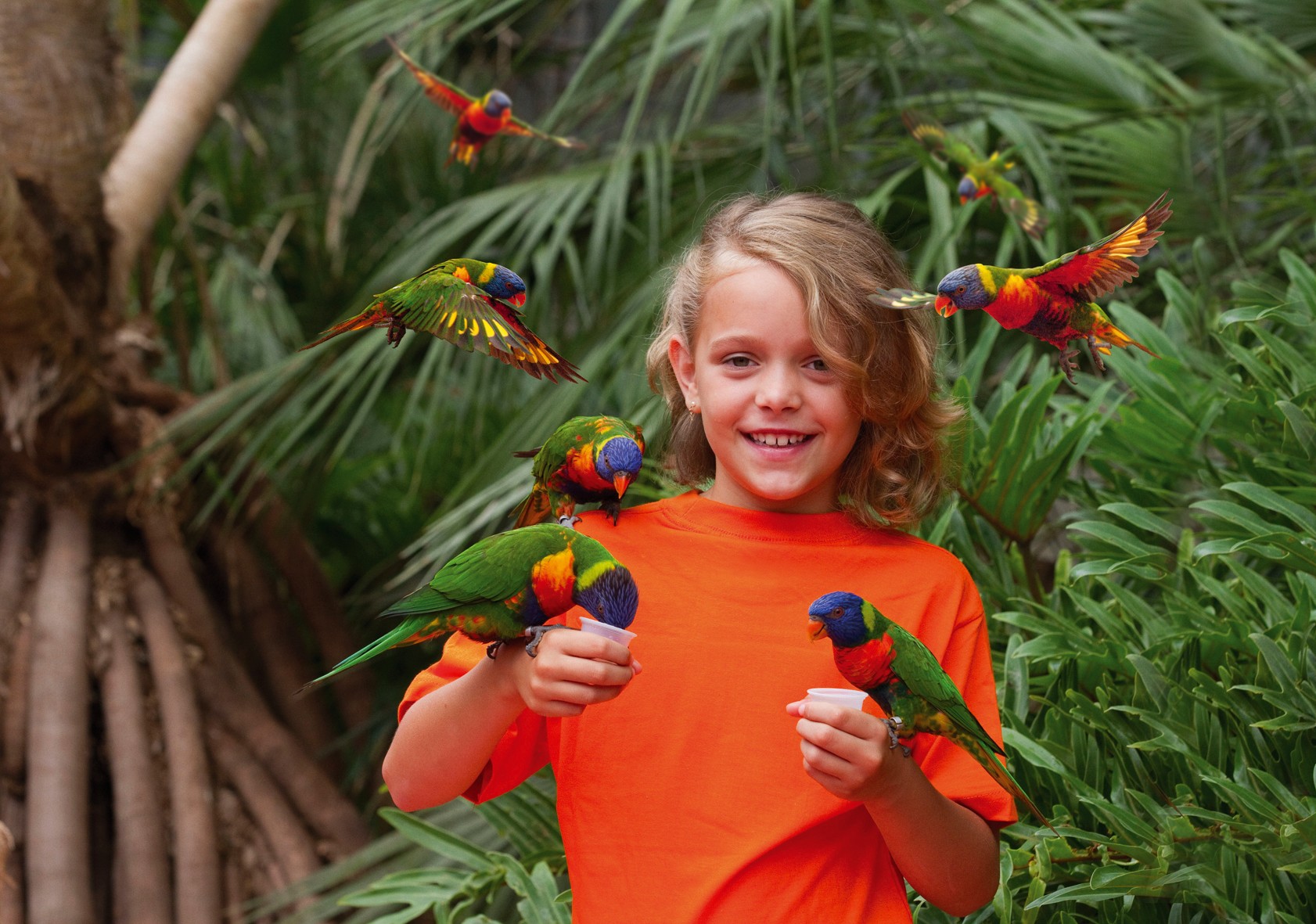 Le parc des oiseaux de Villars les Dombes.