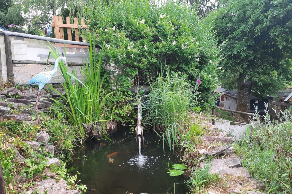 Photo n° 10 de la location