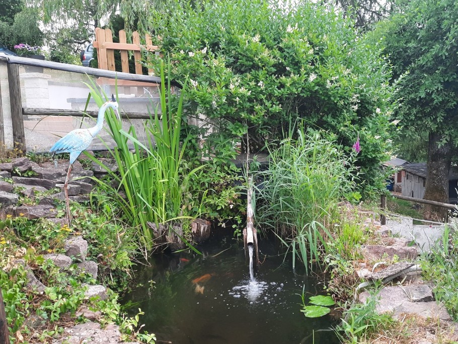 Photo n° 10 of the location