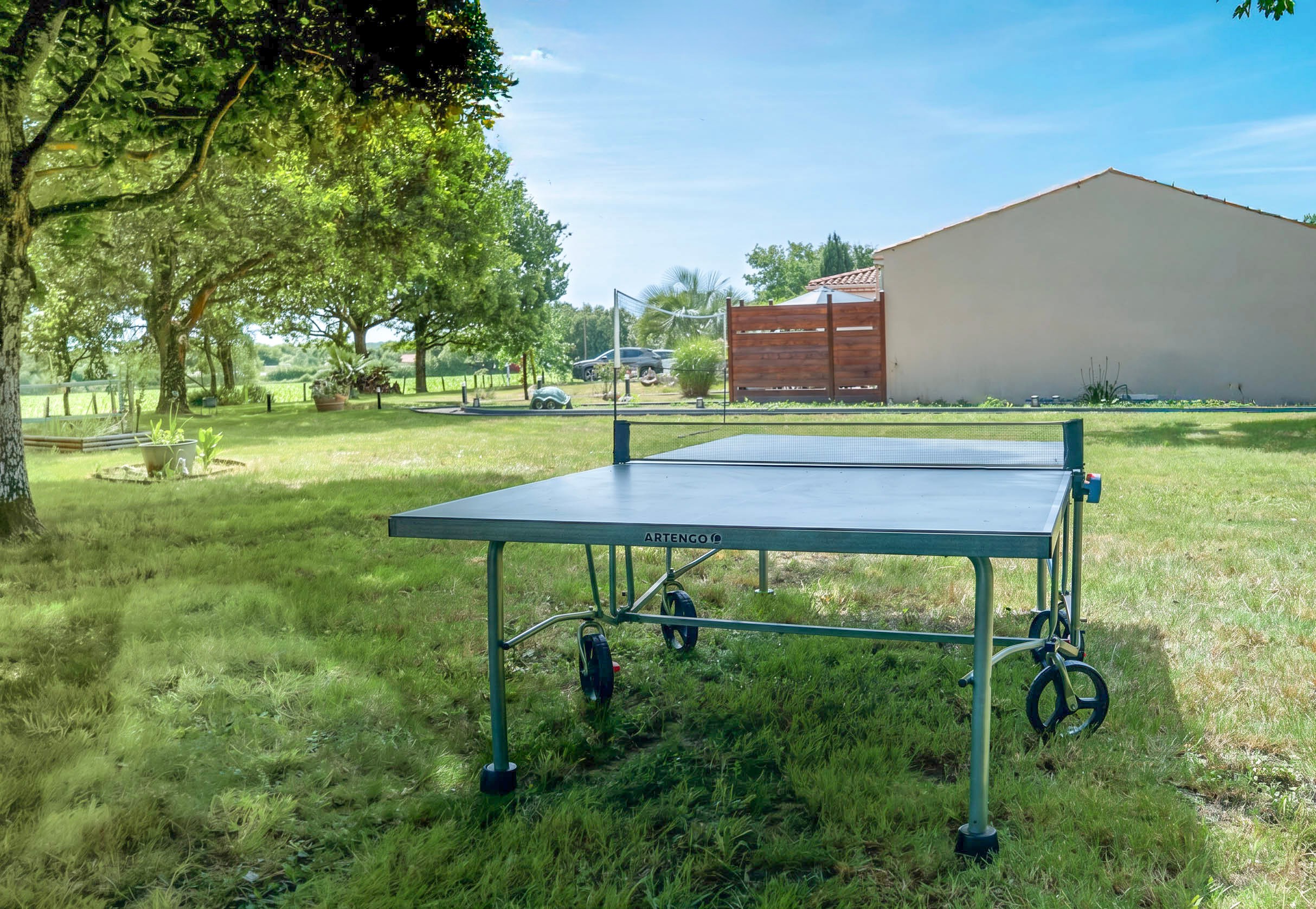 Ping-Pong