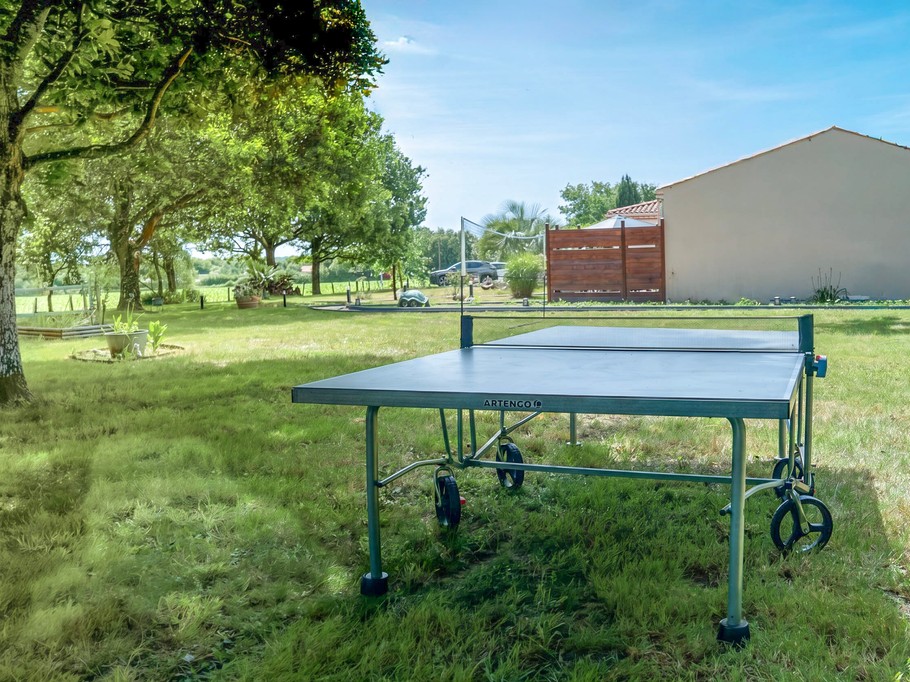 Ping-Pong