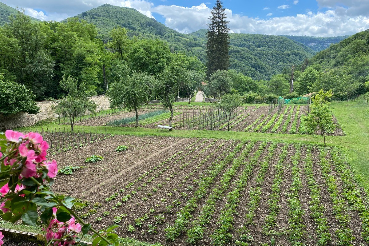 Abbaye de Saint Rambert en Bugey - Le potager des soeurs