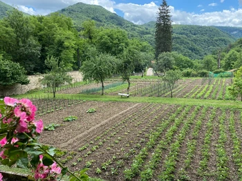 Abbaye de Saint Rambert en Bugey - Le potager des soeurs