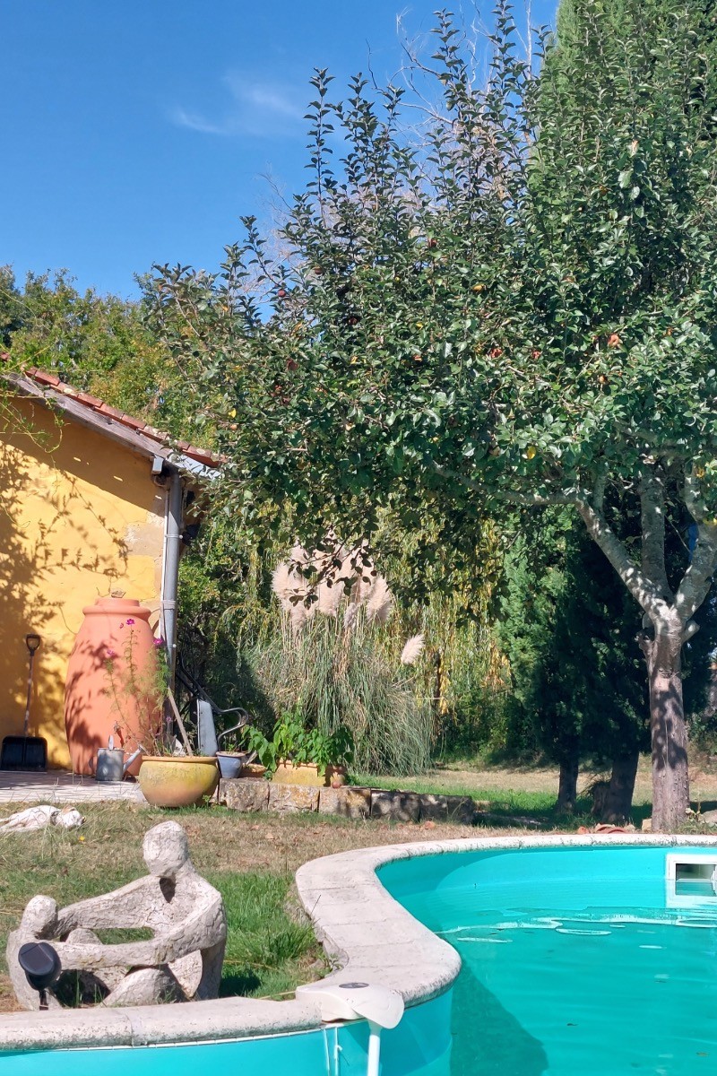 La piscine entourée par la verdure