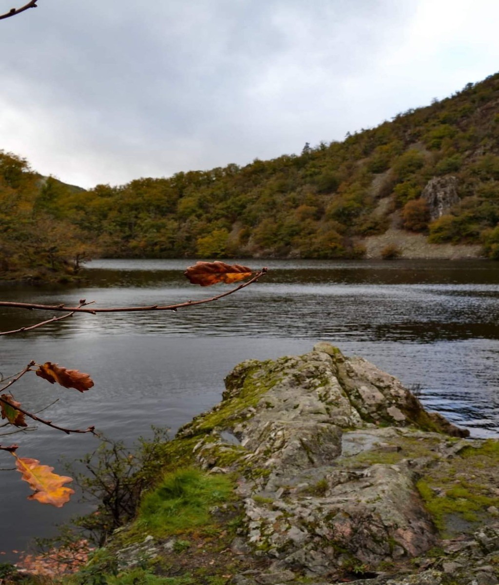 Photo n° 20 de la location