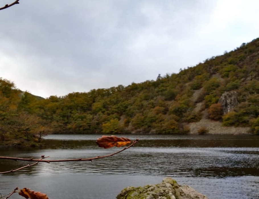 Photo n° 20 de la location