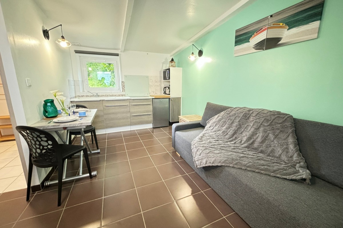 Salon - séjour - cuisine équipée