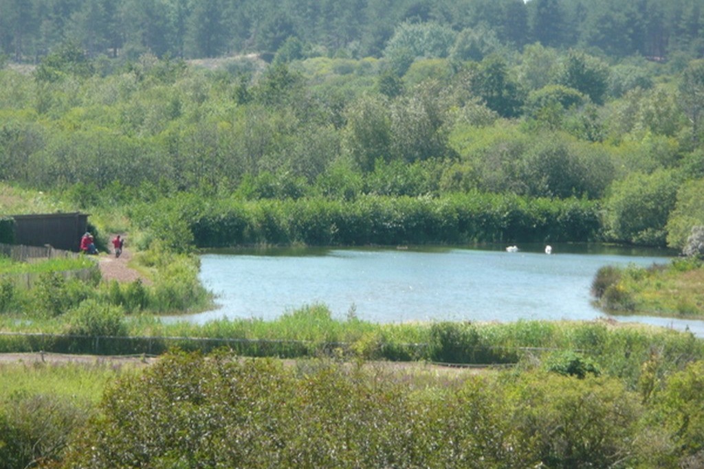 Photo n° 19 de la location