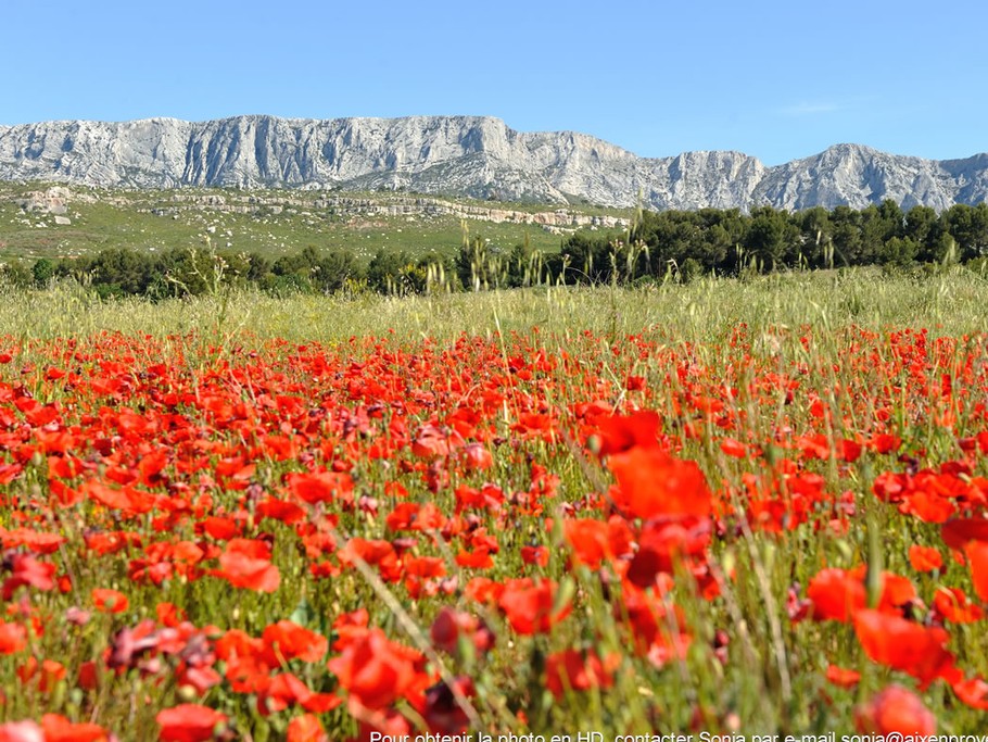 La montagne Sainte Victoire