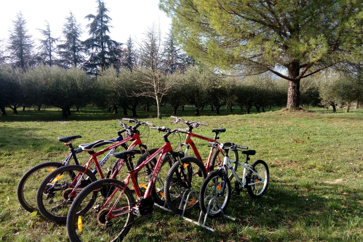 VTT adulte et 1 enfant 6/9 ans à disposition gratuitement