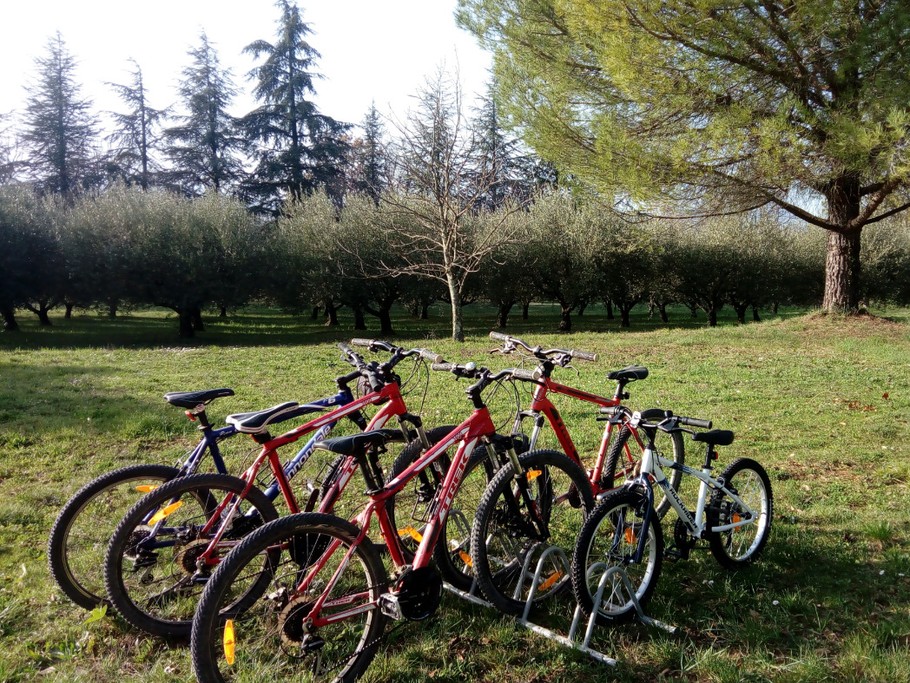 VTT adulte et 1 enfant 6/9 ans à disposition gratuitement