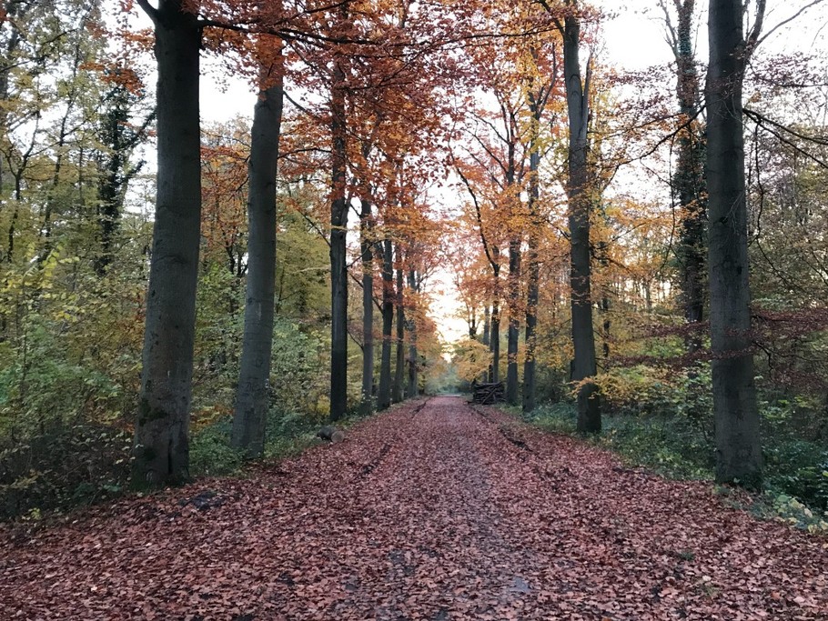 Photo n° 20 of the location