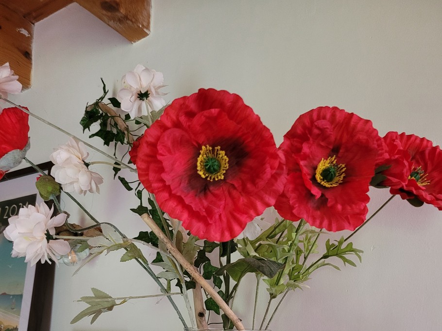 Photo n° 14 of the location