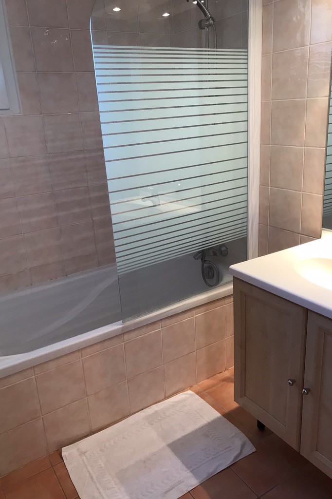 Baignoire avec pare-douche