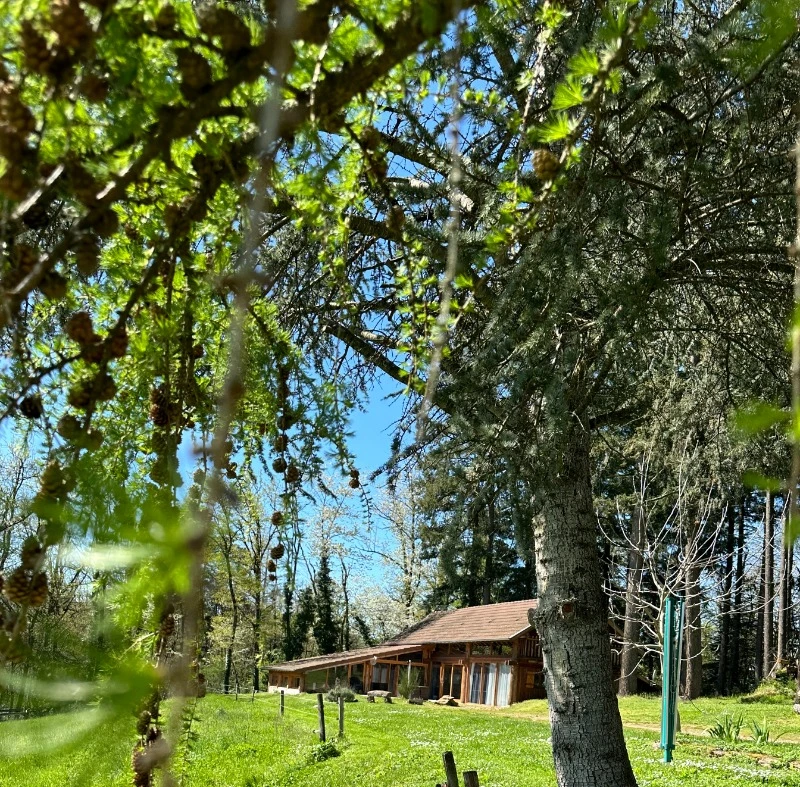 Photo n° 15 of the location