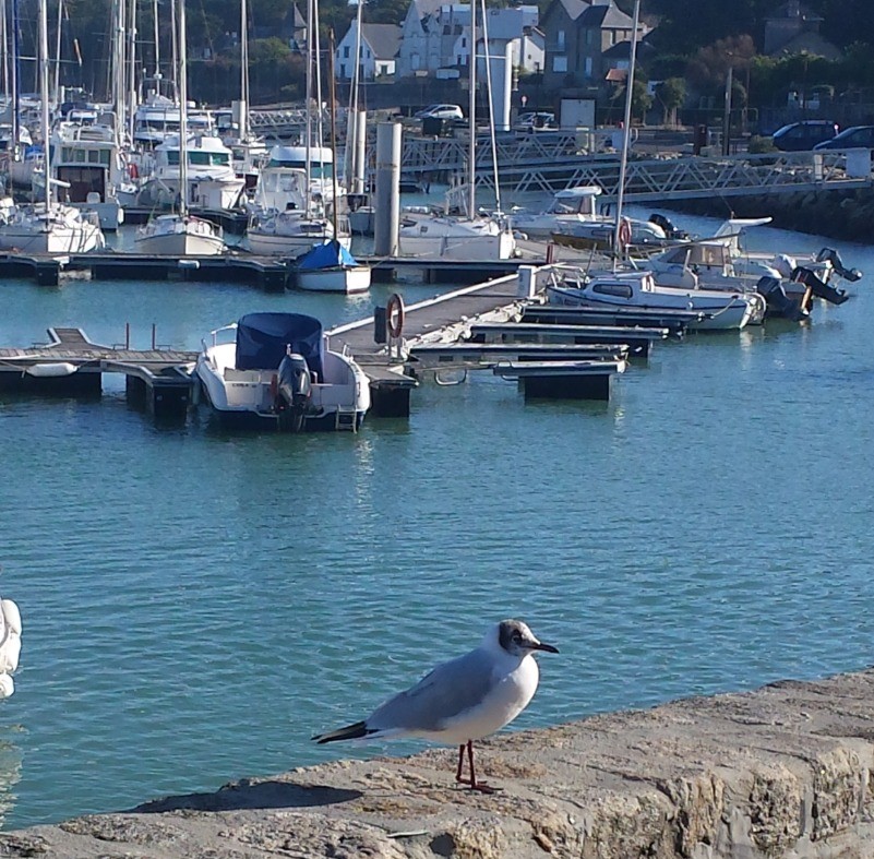 port de Piriac