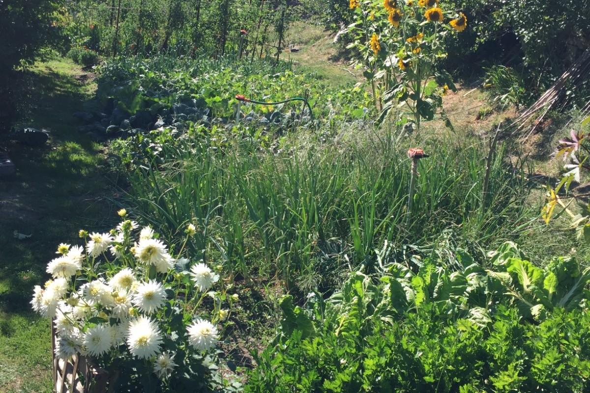 Photo n° 14 of the location