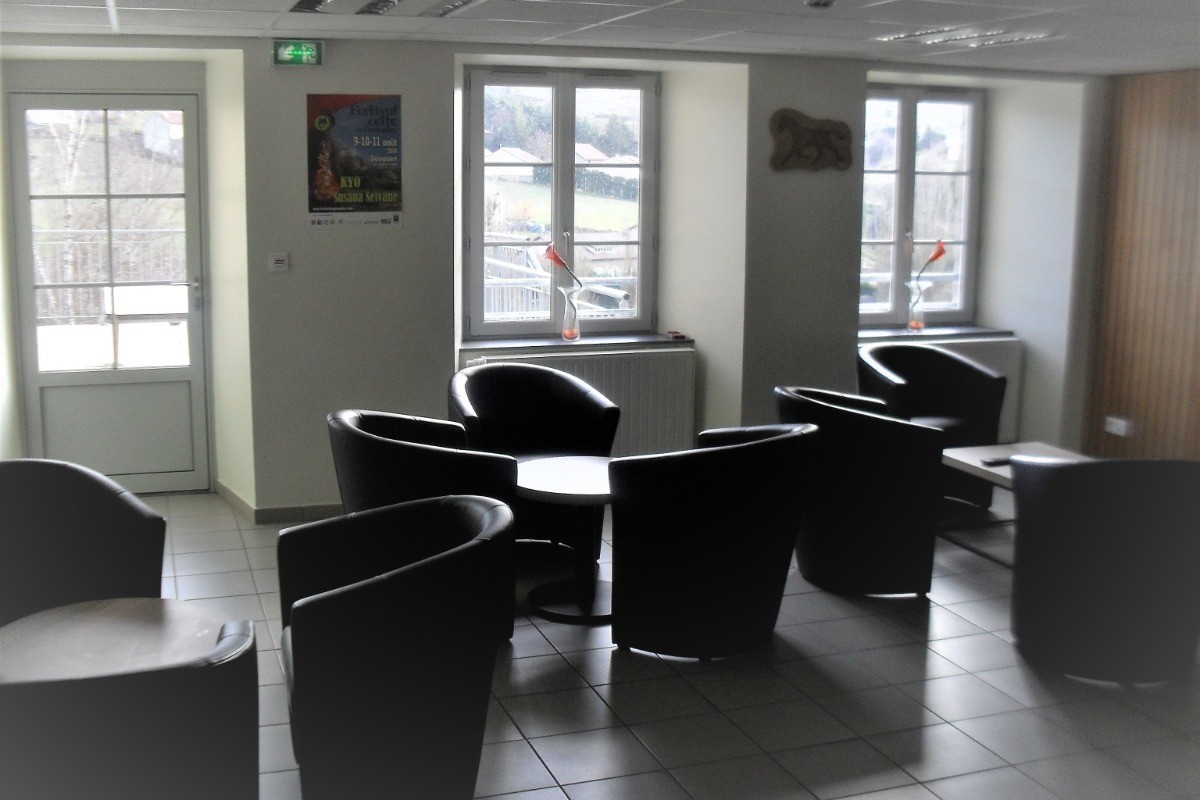 Salon de TV : fauteuils, tables basses, TV à écran plat grand format, espace bar, ...