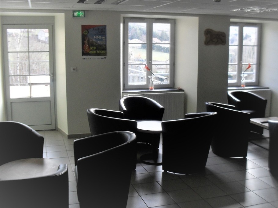 Salon de TV : fauteuils, tables basses, TV à écran plat grand format, espace bar, ...