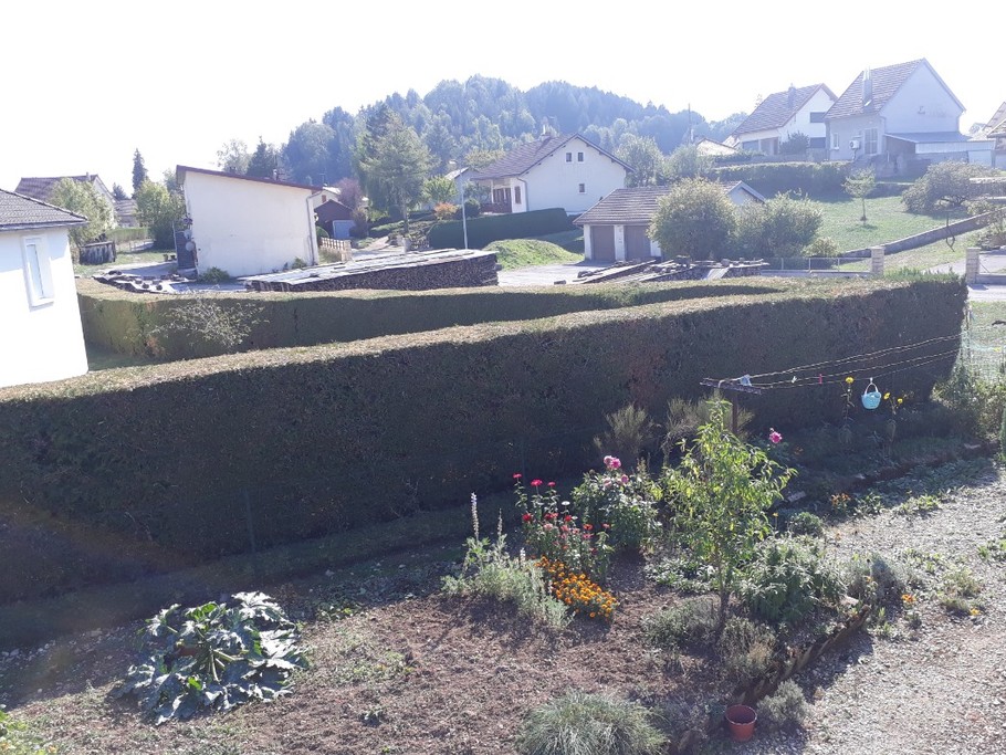 Vue du séjour