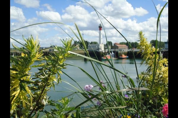 Photo n° 14 de la location