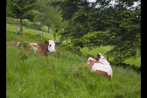 Photo n° 17 of the location