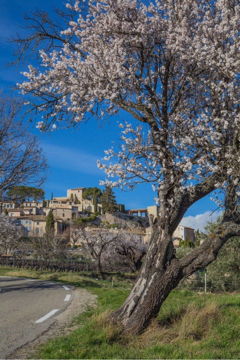 Vue sur le village Joucas 
Crédit A.Hocquel VPA