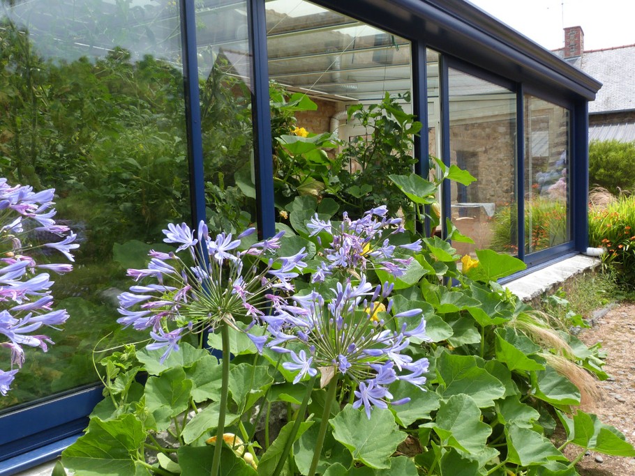 Le jardin d'hiver accessible depuis la terrasse et la cuisine