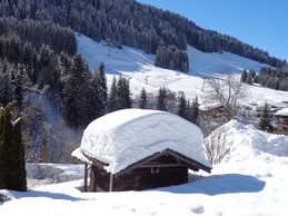 Image n° 3 de la location